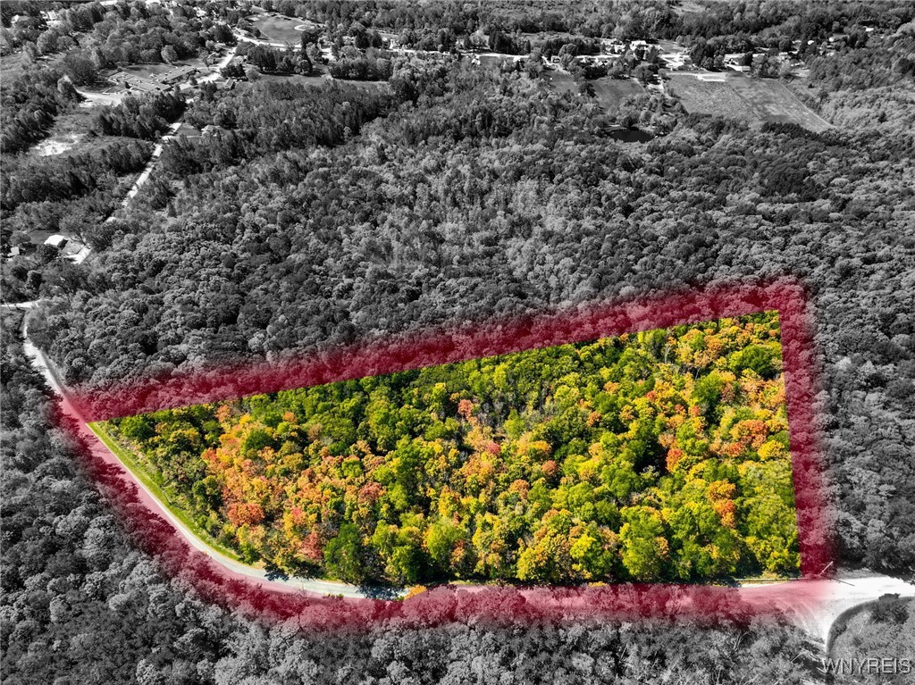 Buffalo Road Attica, NY 14011 - Photo 16 of 16