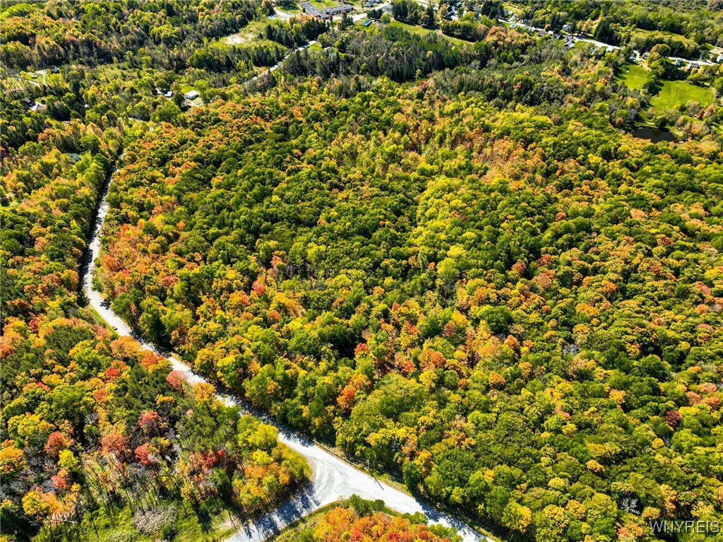 Buffalo Road Attica, NY 14011 - Photo 3 of 16
