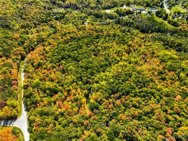 $80,000 | Old Buffalo Road, Attica, NY 14011