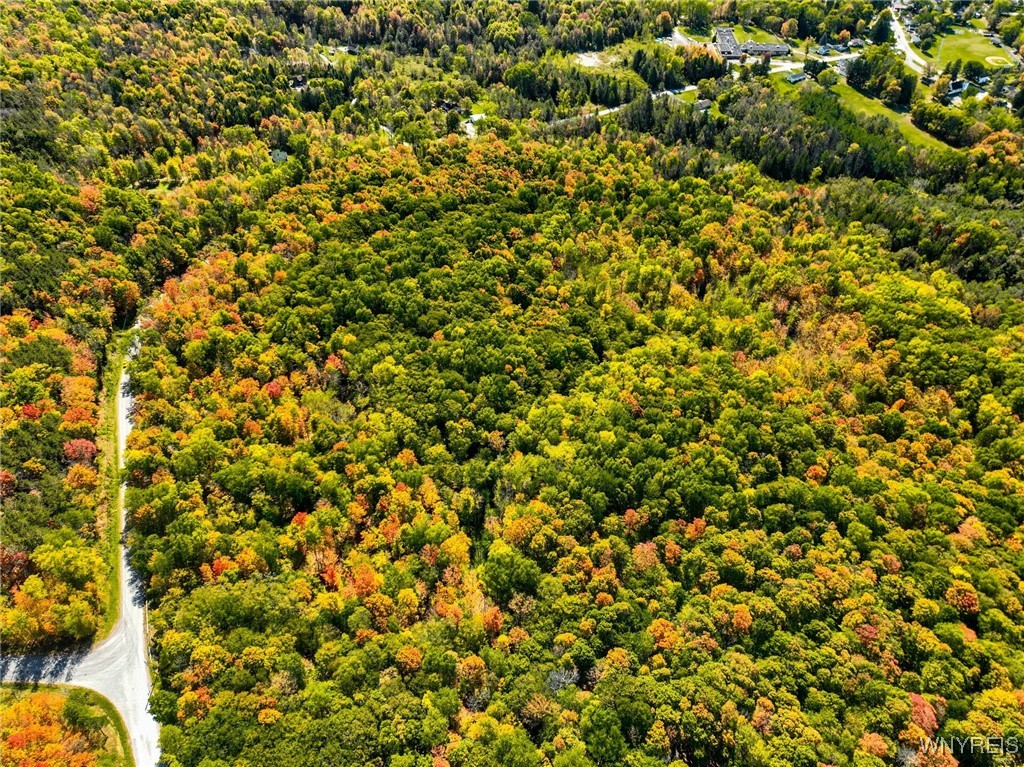 Buffalo Road Attica, NY 14011 - Photo 4 of 16