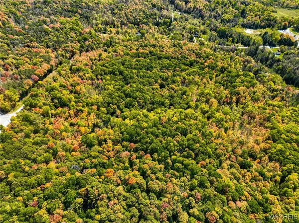 $72,500 | Buffalo Road, Attica, NY 14011