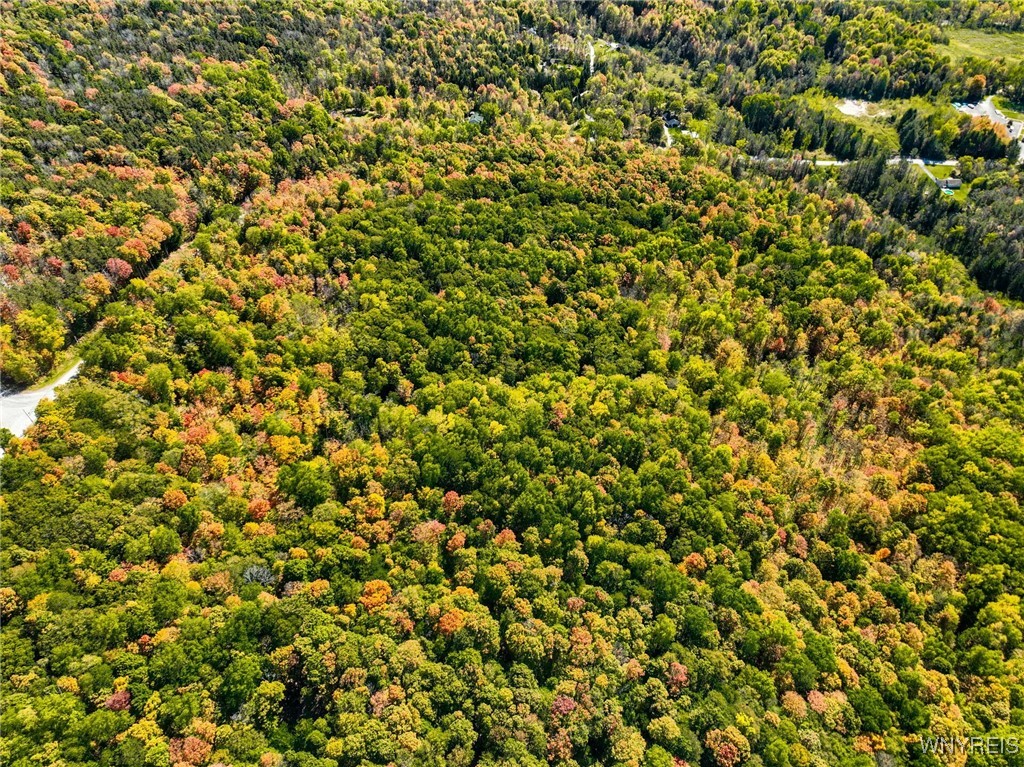 Buffalo Road Attica, NY 14011 - Photo 5 of 16