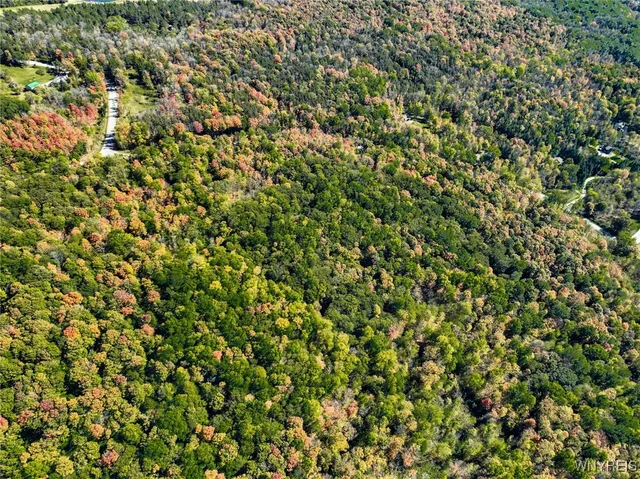 $80,000 | Old Buffalo Road, Attica, NY 14011