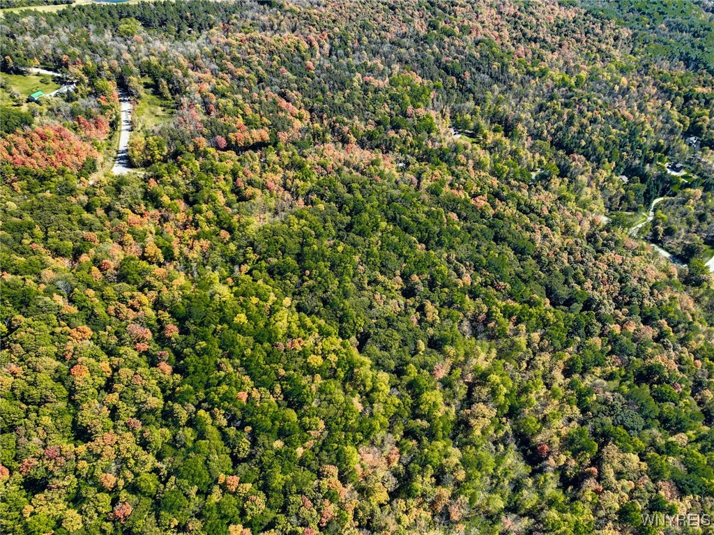 Buffalo Road Attica, NY 14011 - Photo 6 of 16