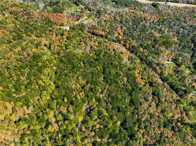 $80,000 | Old Buffalo Road, Attica, NY 14011