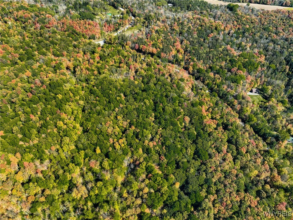 Buffalo Road Attica, NY 14011 - Photo 8 of 16