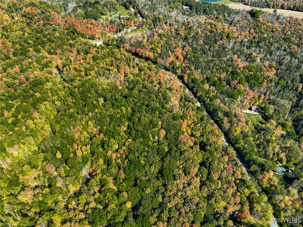 Buffalo Road Attica, NY 14011 - Photo 9 of 16