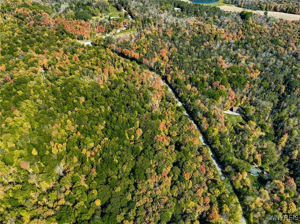 Buffalo Road Attica, NY 14011 - Photo 10 of 16