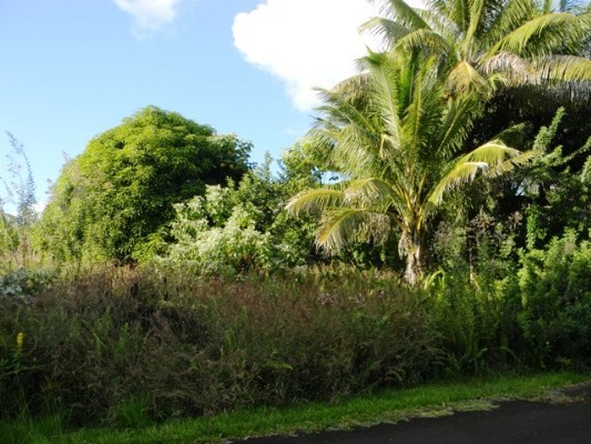 189 Pohakupele Loop Pahoa, HI 96778 - Photo 1 of 8 a view of a garden