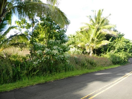 189 Pohakupele Loop Pahoa, HI 96778 - Photo 2 of 8 a view of a yard with plants and trees
