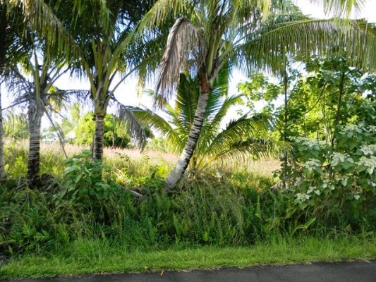 189 Pohakupele Loop Pahoa, HI 96778 - Photo 3 of 8 a view of a yard