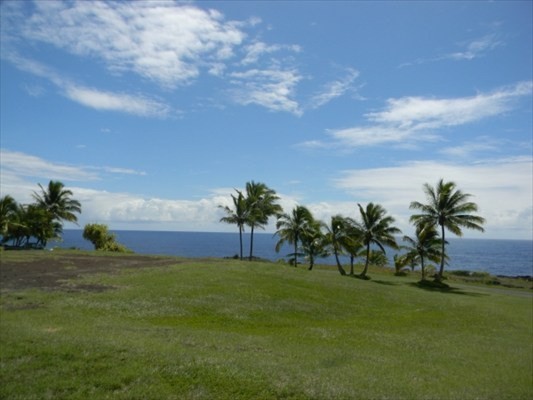 189 Pohakupele Loop Pahoa, HI 96778 - Photo 7 of 8 a view of an outdoor space and yard