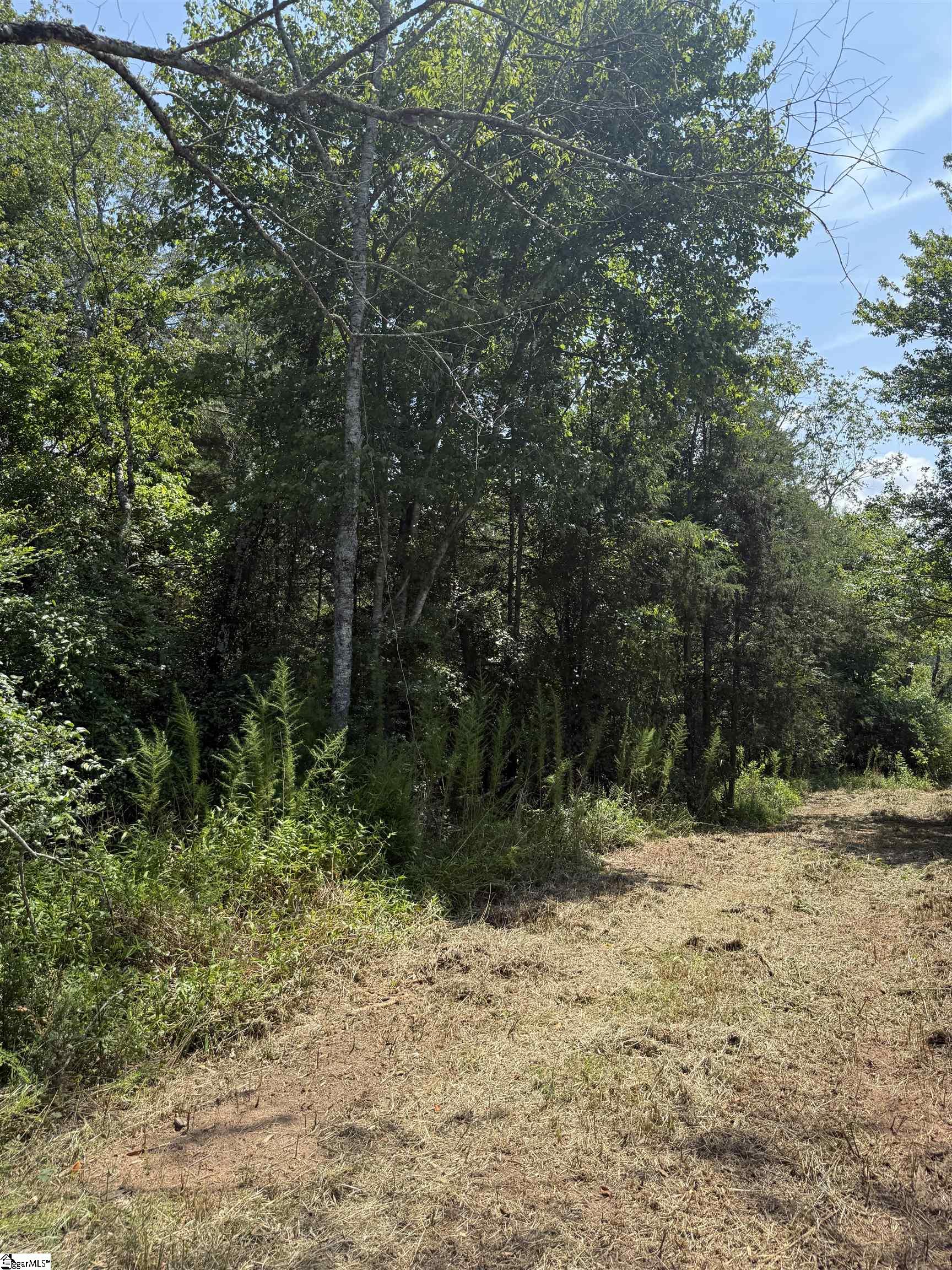 324 Garvin Road Liberty, SC 29657 - Photo 10 of 16 Gallery Image 10