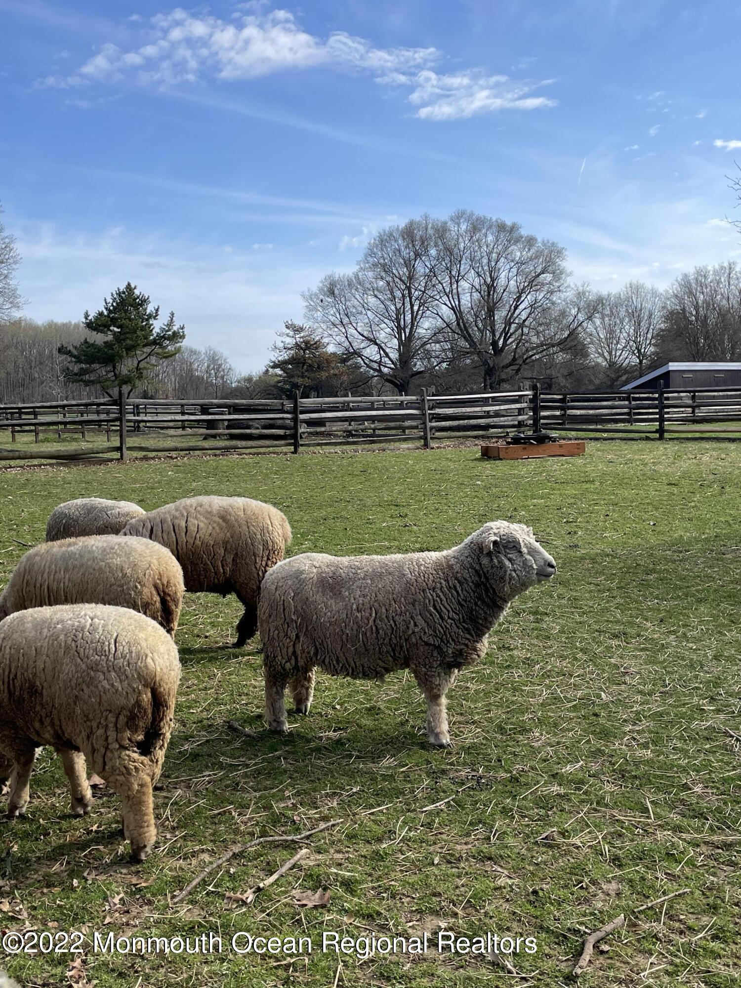243 Nottingham Road Morganville, NJ 07751 - Photo 20 of 24 Holmdel Park working farm