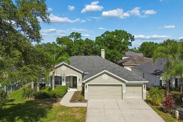 $699,000 | 15217 Octavia Lane, Odessa, FL 33556