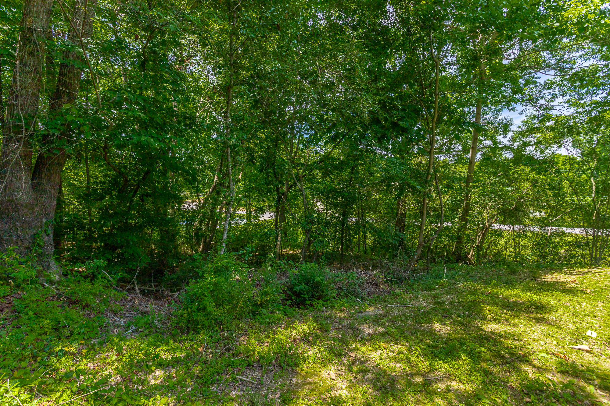 10527 Collins Road Soddy Daisy, TN 37379 - Photo 41 of 41 10527 Collins Road HD-58