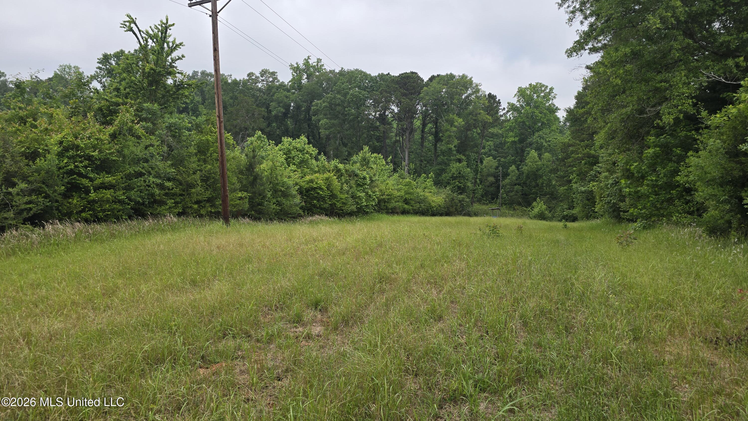 189 Co Road Bay Springs, MS 39422 - Photo 12 of 61 20260513_103156