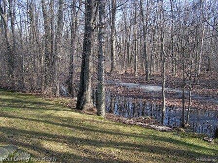 3733 Cedar Brook Drive Rochester, MI 48309 - Photo 17 of 20 Woods and pond