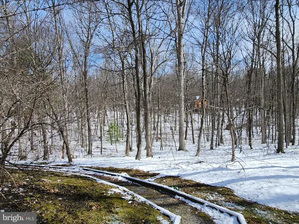 $315,000 | 5545 Campfire Lane, Todd, PA 16685