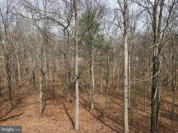 $315,000 | 5545 Campfire Lane, Todd, PA 16685