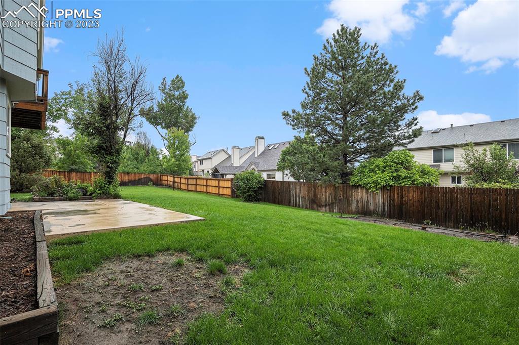 9054 Estebury Circle Colorado Springs, CO 80920 - Photo 19 of 26 a view of a yard with palm trees