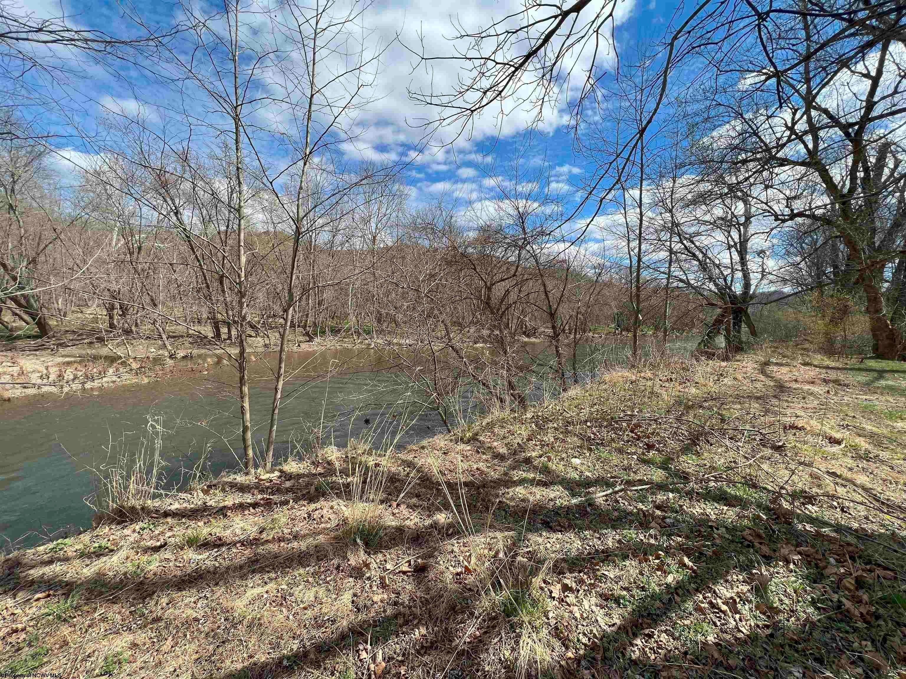 Tbd Walnut Lane Green Spring, WV 26722 - Photo 8 of 10 Gallery Image 8
