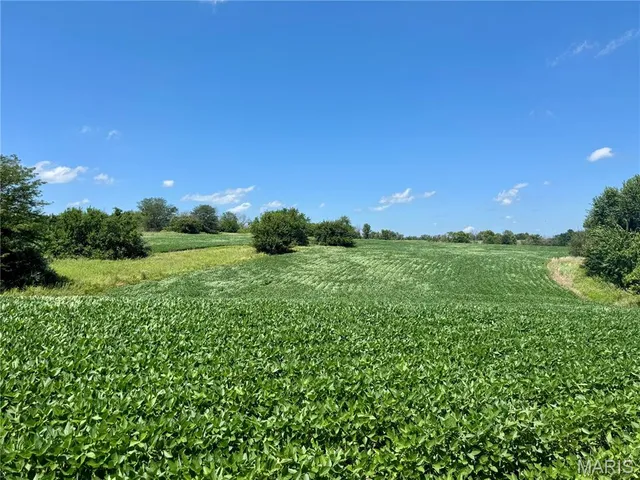 $475,000 | 0 Winter Road, Browning, MO 64630