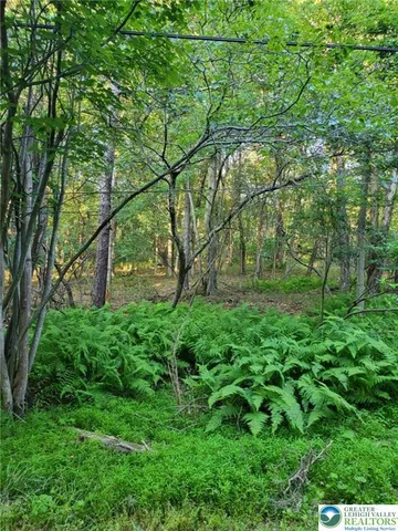 a view of outdoor space with deck and yard