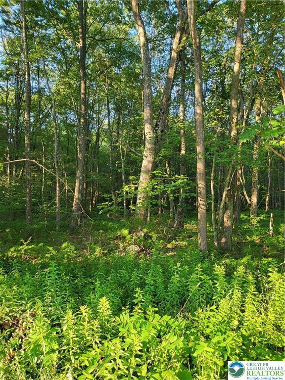 168 Cross Street, Unit 3 Pocono Lake, PA 18347 - Photo 3 of 7 a view of a green field with lots of bushes