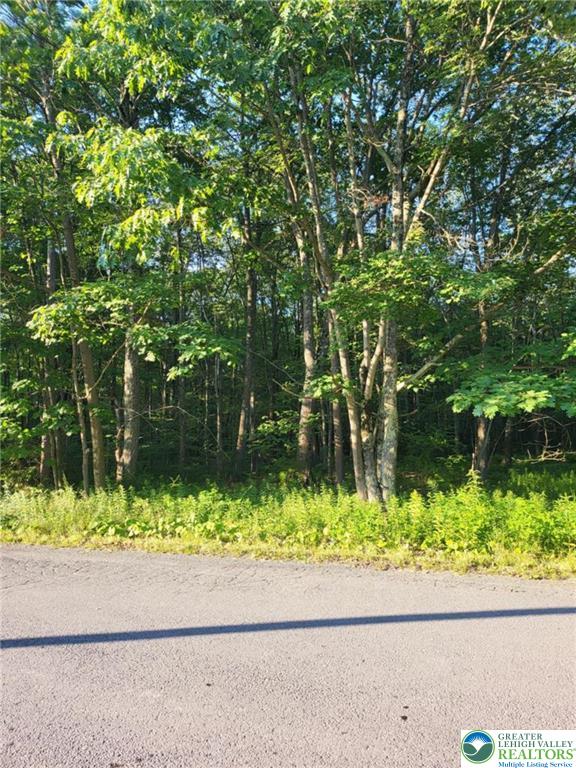 168 Cross Street, Unit 3 Pocono Lake, PA 18347 - Photo 6 of 7 view of a window and a yard