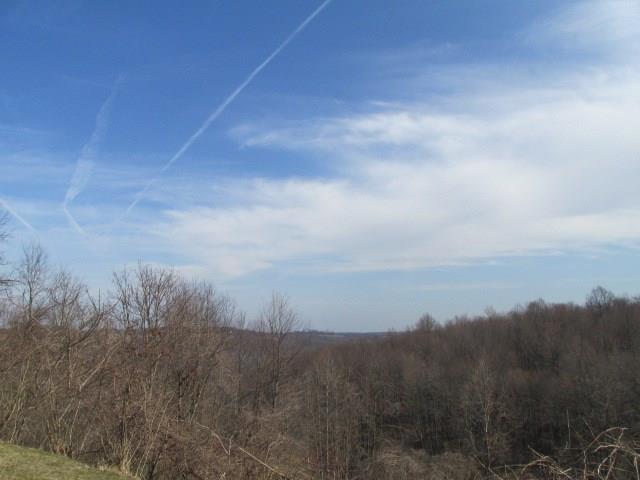 267 Adelaide Road Connellsville, PA 15425 - Photo 5 of 9