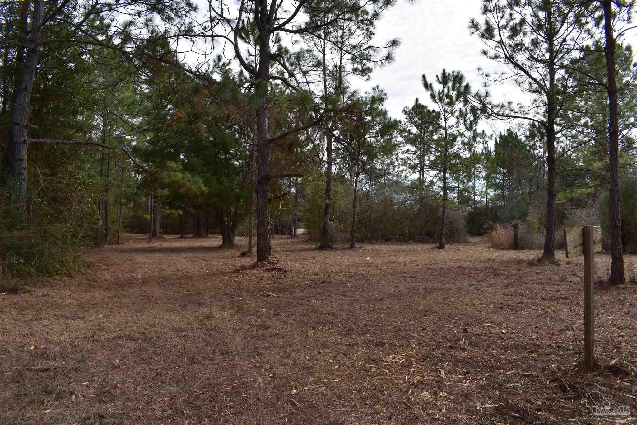 0 Pat Brown Road Milton, FL 32570 - Photo 3 of 30 Gallery Image 3