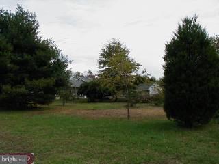 318 Lincoln Road Pilesgrove, NJ 08098 - Photo 3 of 6 Gallery Image 3