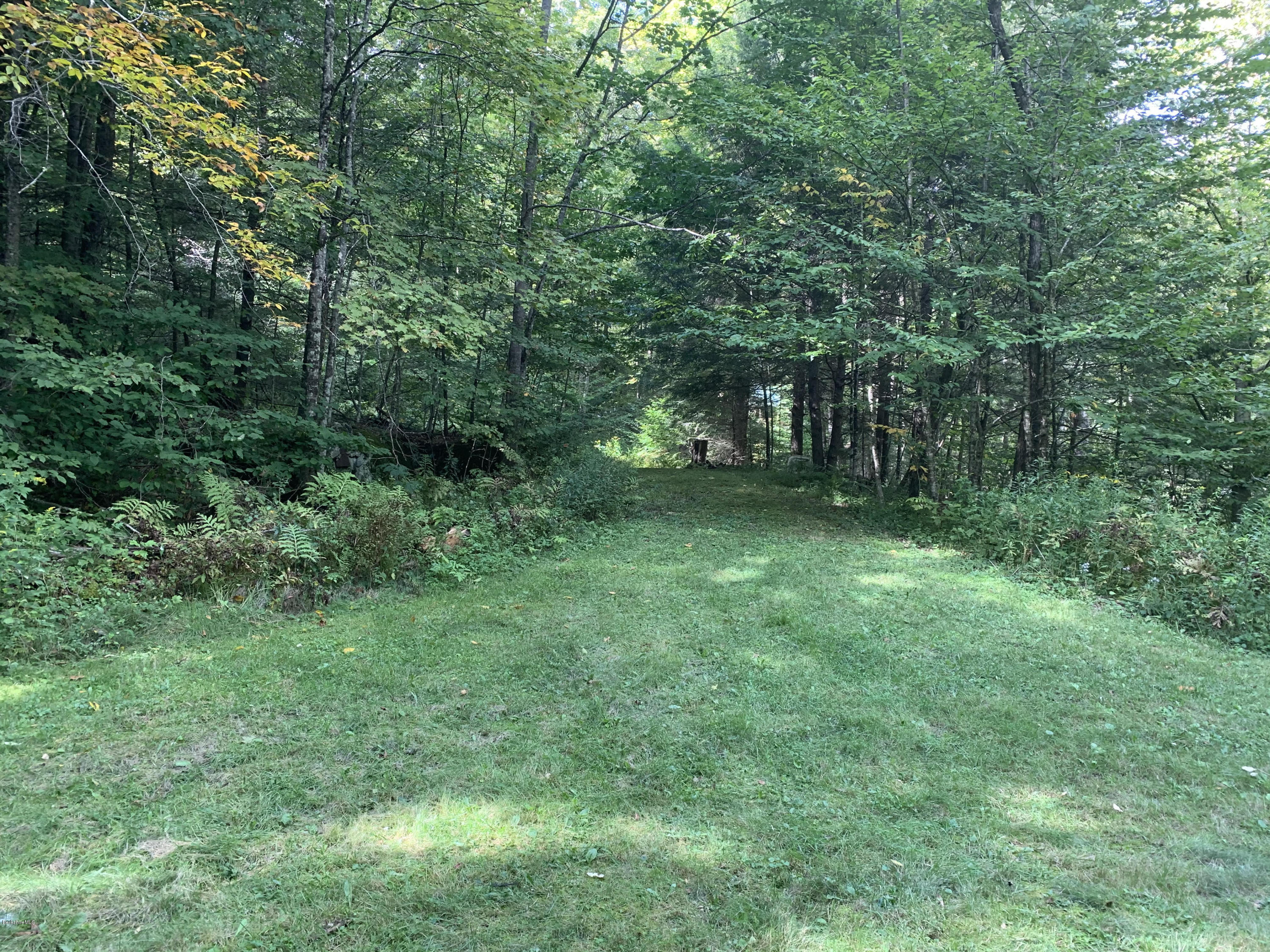 0 River Road Windsor, MA 01270 - Photo 1 of 1 a view of a green field with lots of bushes