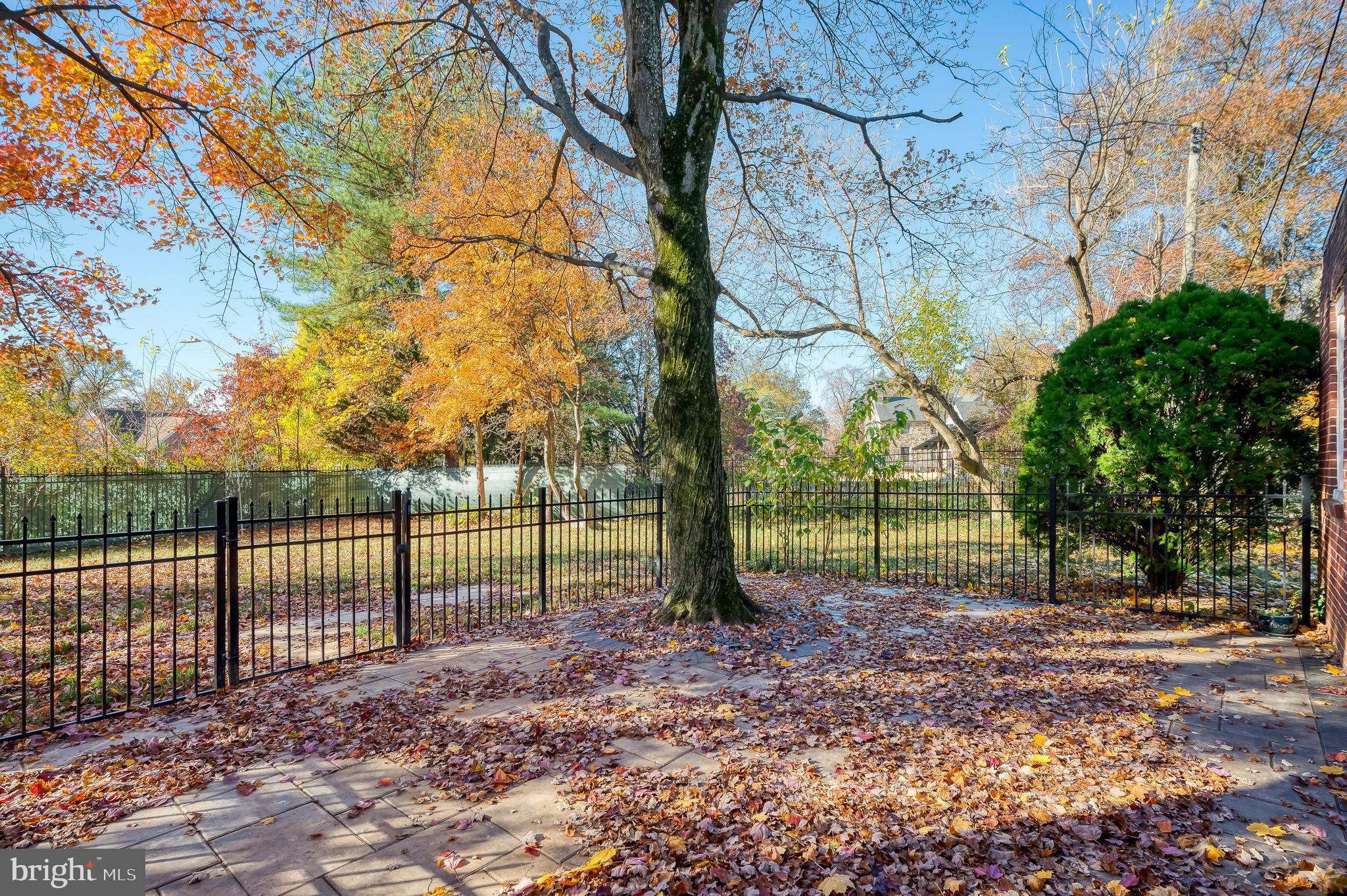 317 Kerneway Baltimore, MD 21212 - Photo 57 of 74