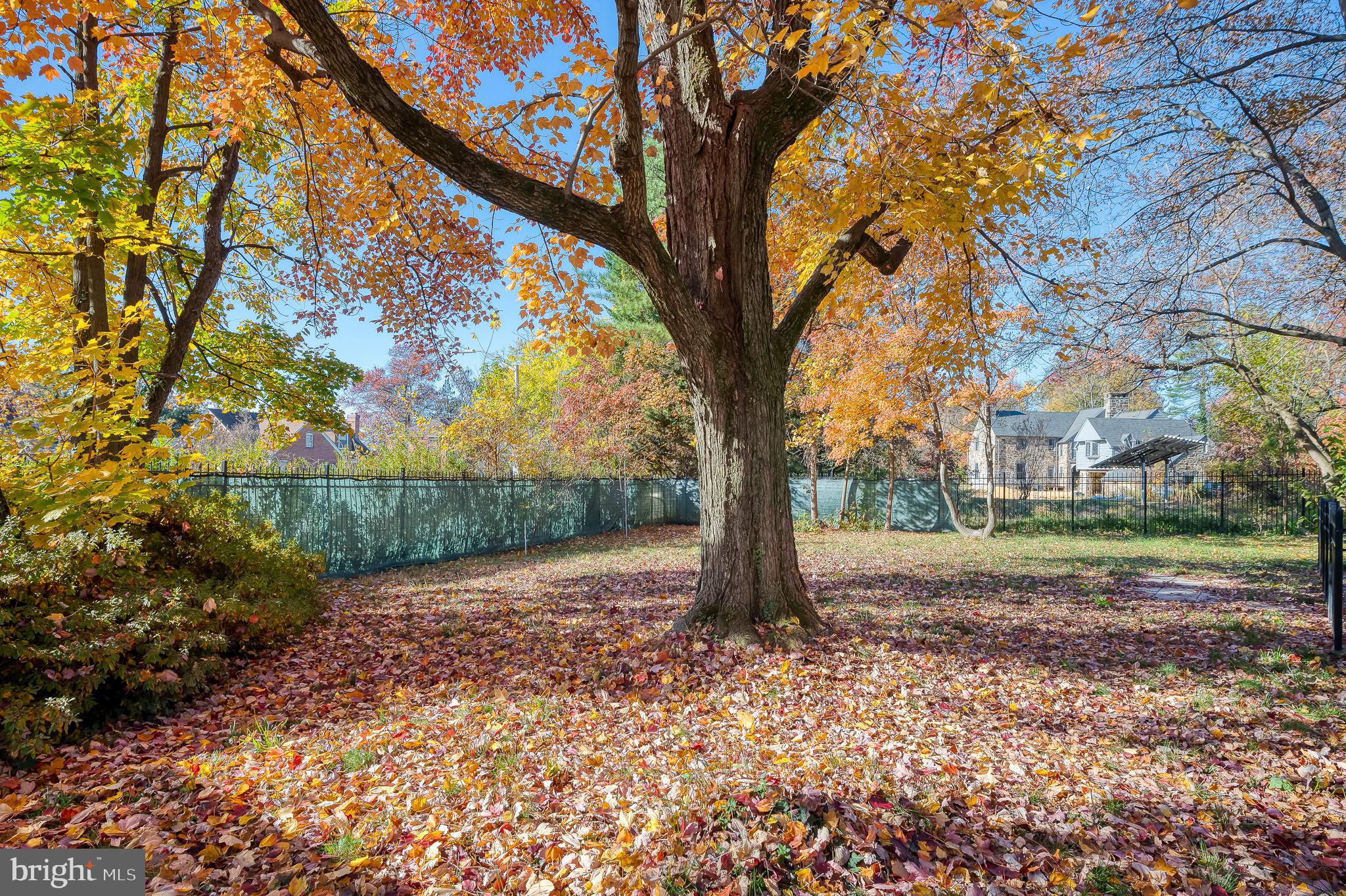 317 Kerneway Baltimore, MD 21212 - Photo 66 of 74