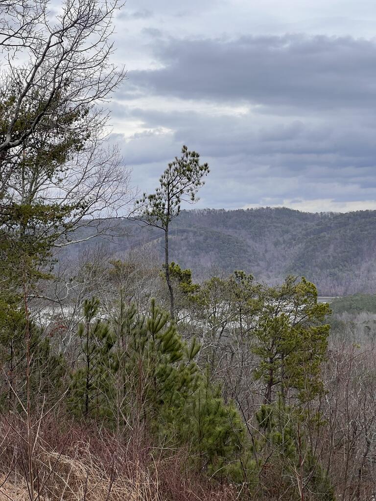 278 Carters Overlook Drive Ranger, GA 30734 - Photo 15 of 17 Gallery Image 15