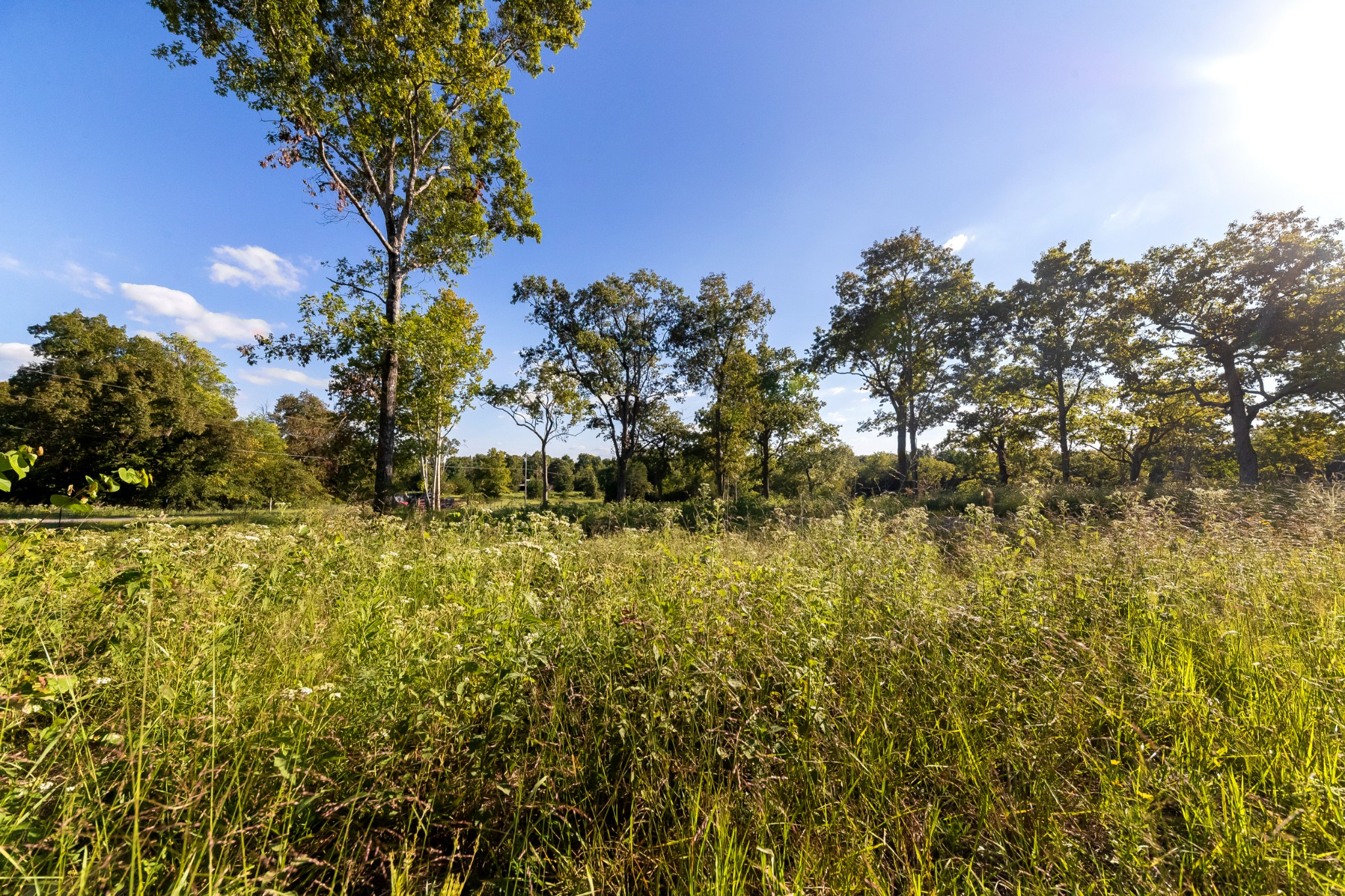 146 Paschal Road Unionville, TN 37180 - Photo 28 of 39 Gallery Image 28