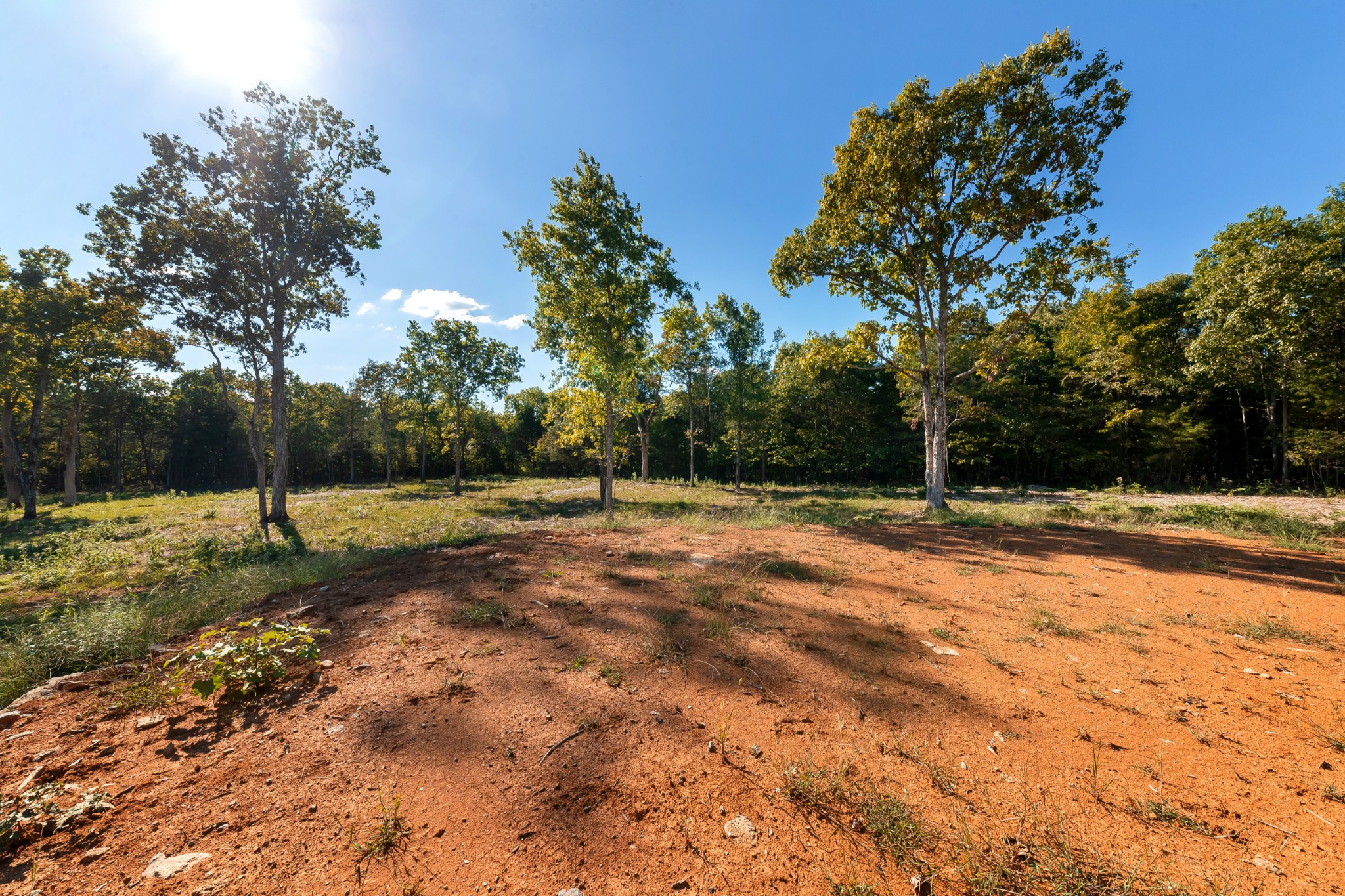 146 Paschal Road Unionville, TN 37180 - Photo 3 of 39 Gallery Image 3
