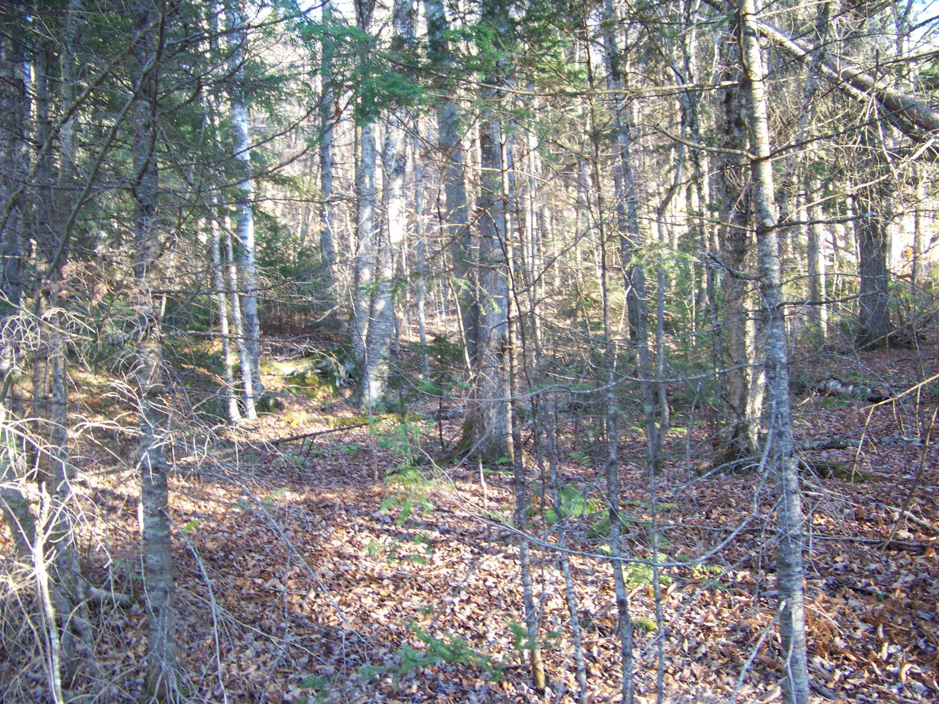 278 Edwins Pond Road Rochester, VT 05767 - Photo 4 of 4