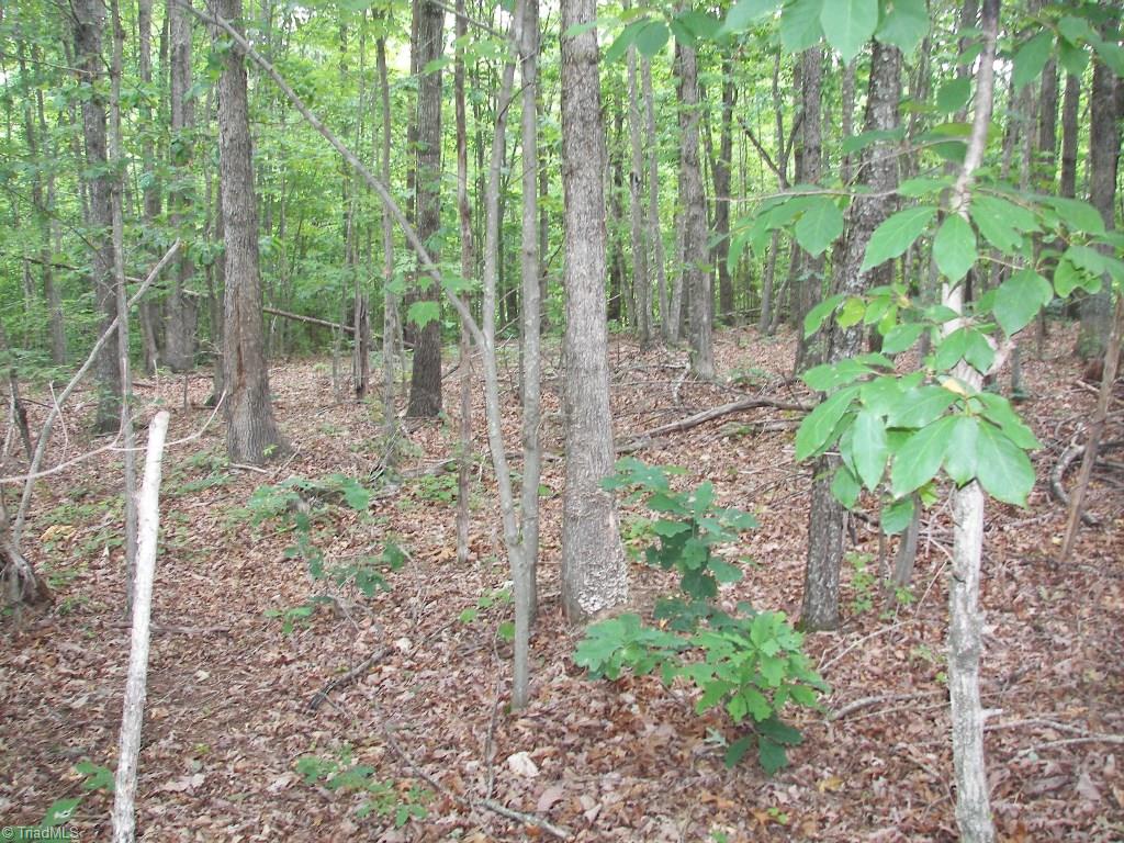 3248 North Old 52 Road Pinnacle, NC 27043 - Photo 11 of 14