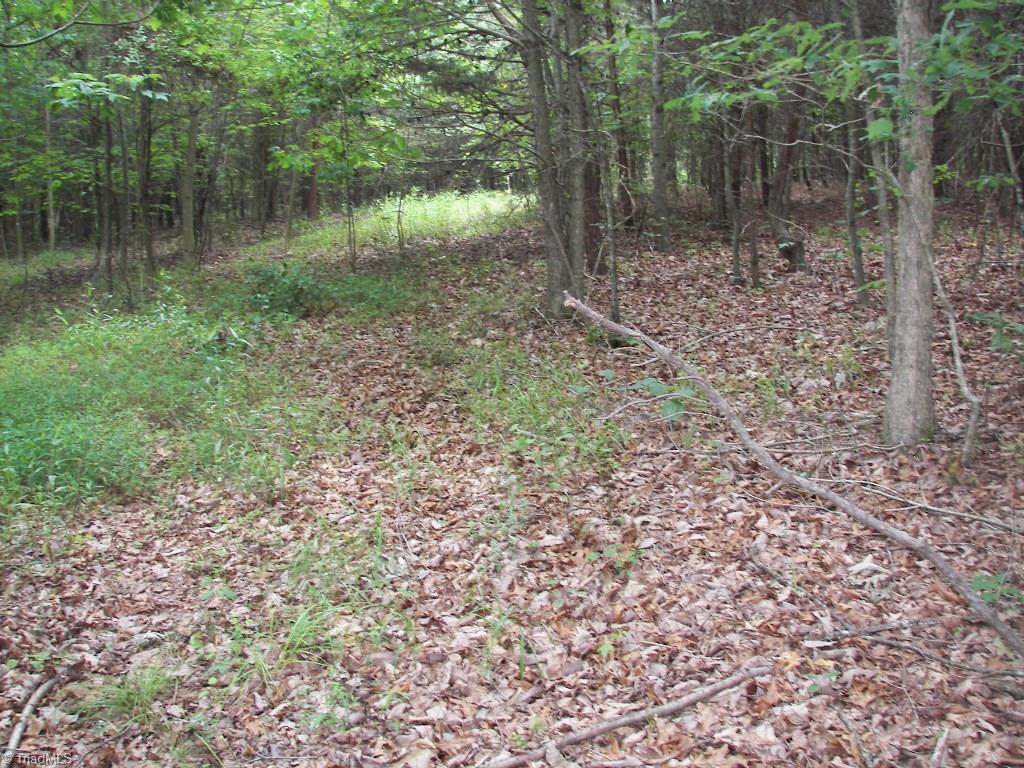 3248 North Old 52 Road Pinnacle, NC 27043 - Photo 12 of 14
