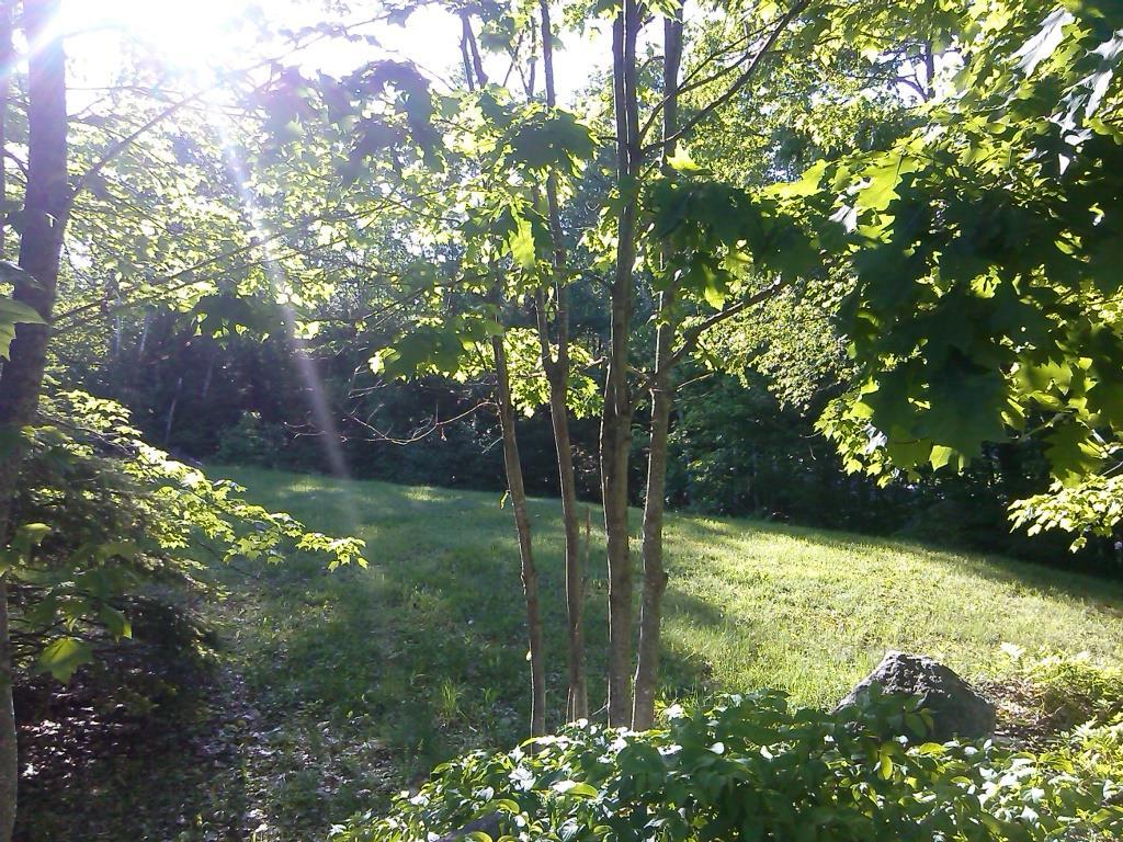 257 Hankerson Road Augusta, ME 04330 - Photo 17 of 21 Front Lawn