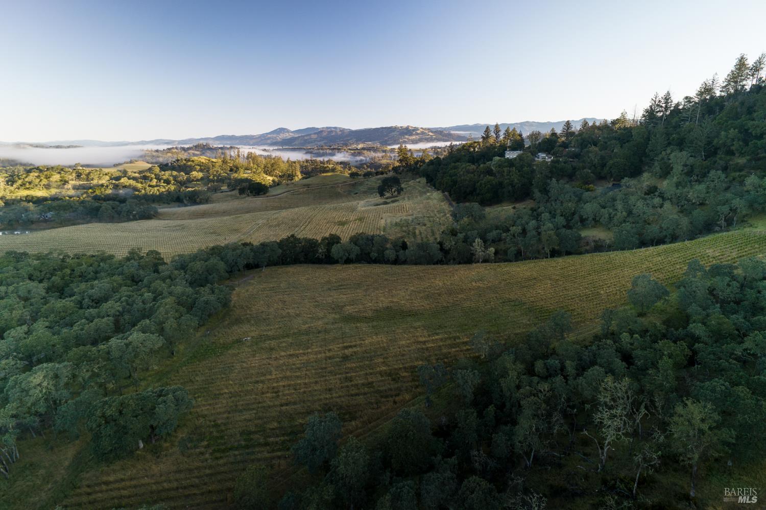13414 Chalk Hill Road Healdsburg, CA 95448 - Photo 85 of 99
