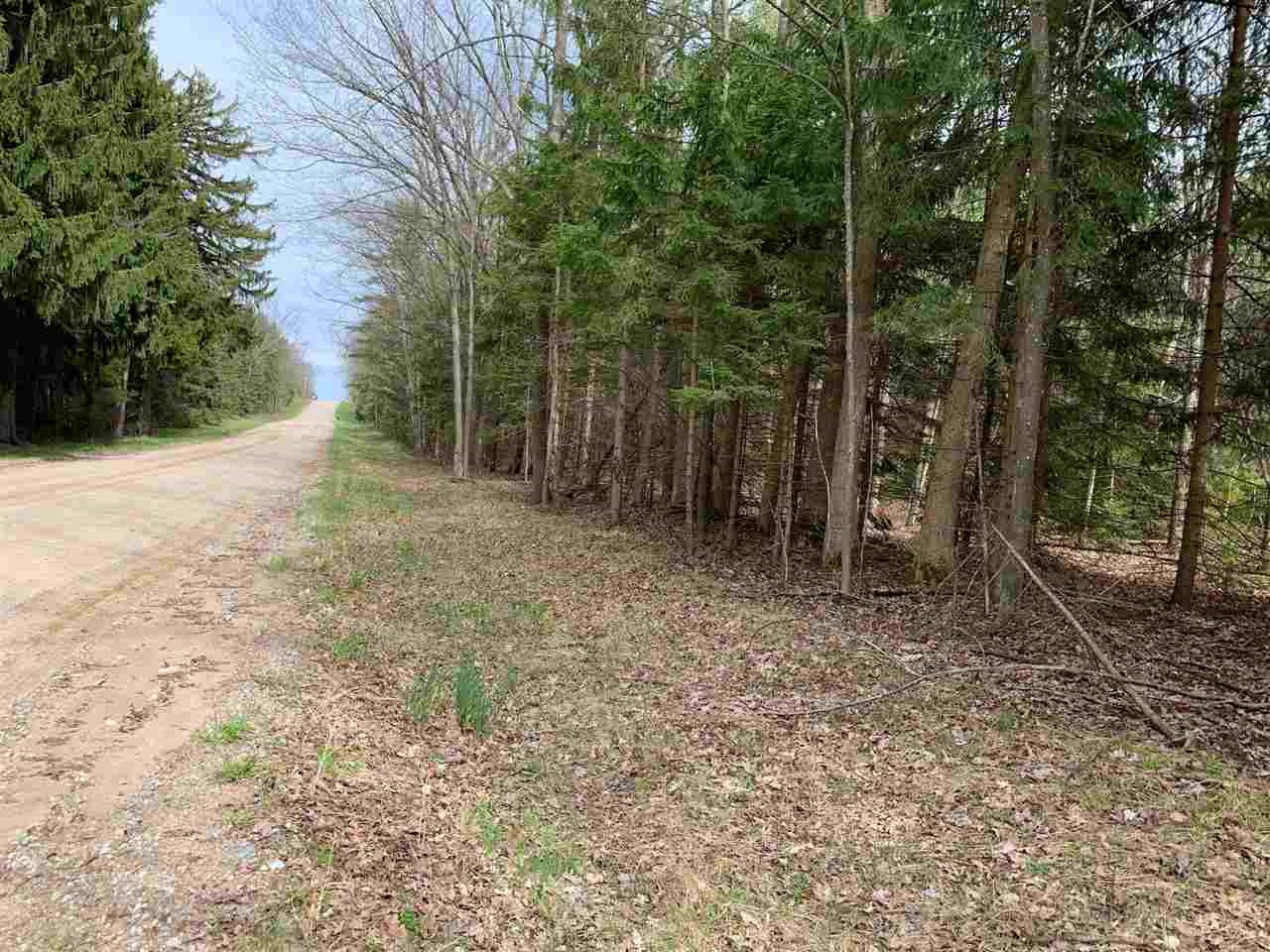 Xxx East Pere Cheney Road Roscommon, MI 48653 - Photo 1 of 30 Gallery Image 1