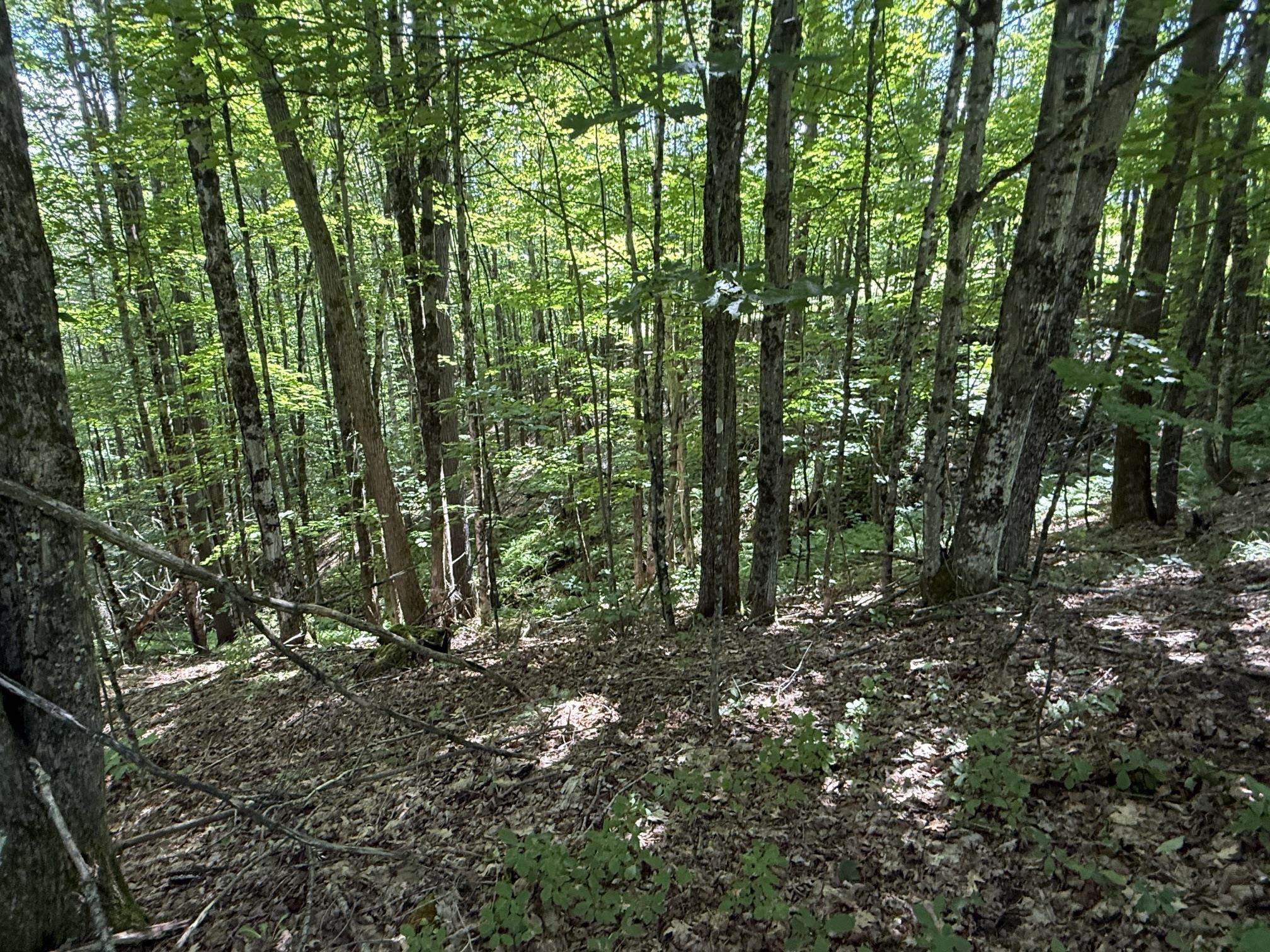 On Daniels Farm Road Waterford, VT 05819 - Photo 12 of 17