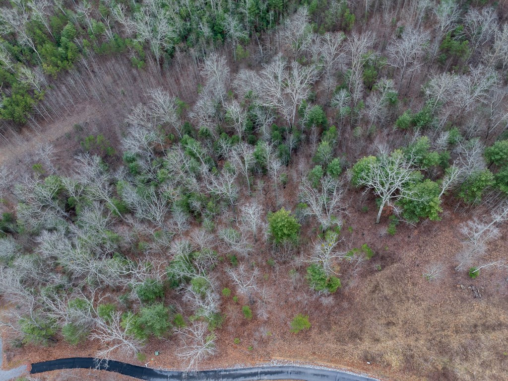 Lot 63 Lake Wood Road Murphy, NC 28906 - Photo 3 of 28