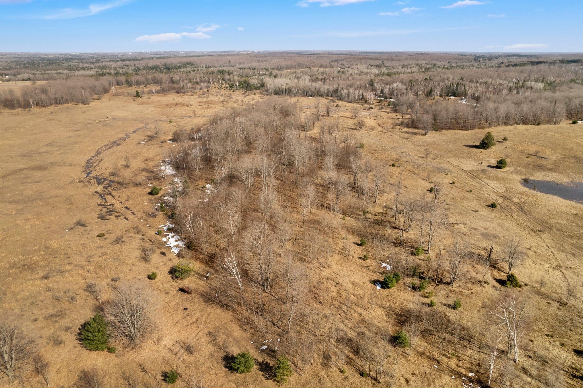 7671 Brady Road Onaway, MI 49765 - Photo 9 of 25 Gallery Image 9