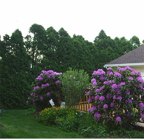 28 Brewster Road Worcester, MA 01602 - Photo 11 of 16 Gallery Image 11