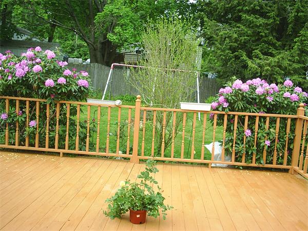 28 Brewster Road Worcester, MA 01602 - Photo 12 of 16 Gallery Image 12